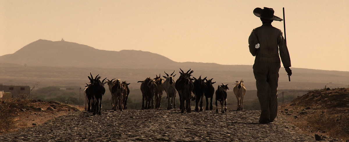 Boa Vista
